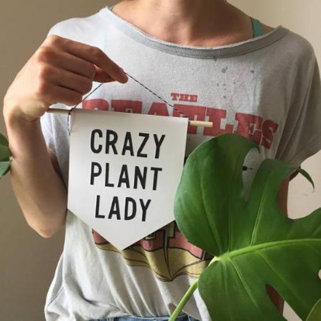 Crazy Plant Lady Banner – Hi Cacti