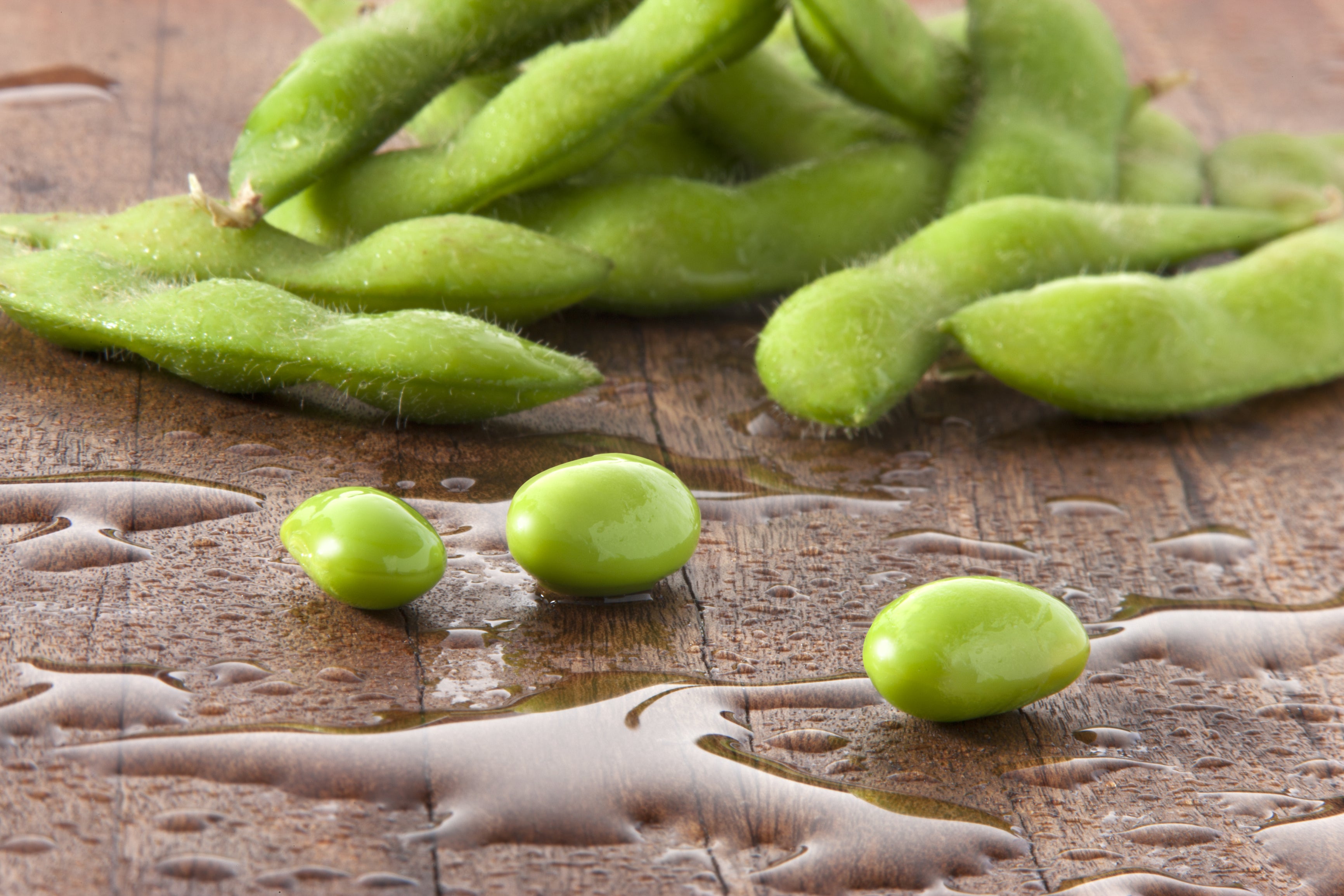 Edamame Seeds, BeSweet Soybean (20 grams, approx. 65 seeds) – Hometown ...