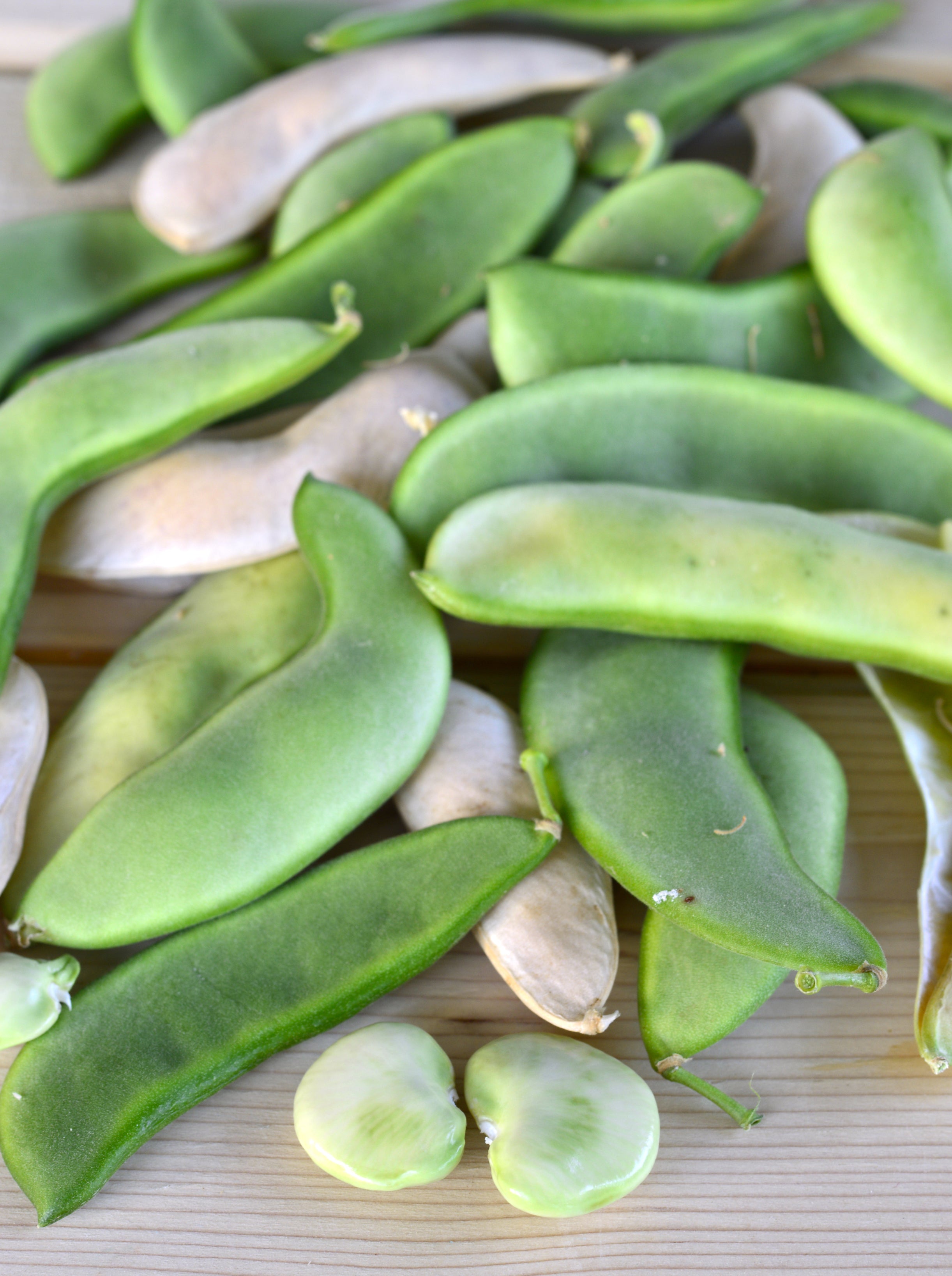 butter bean plant images