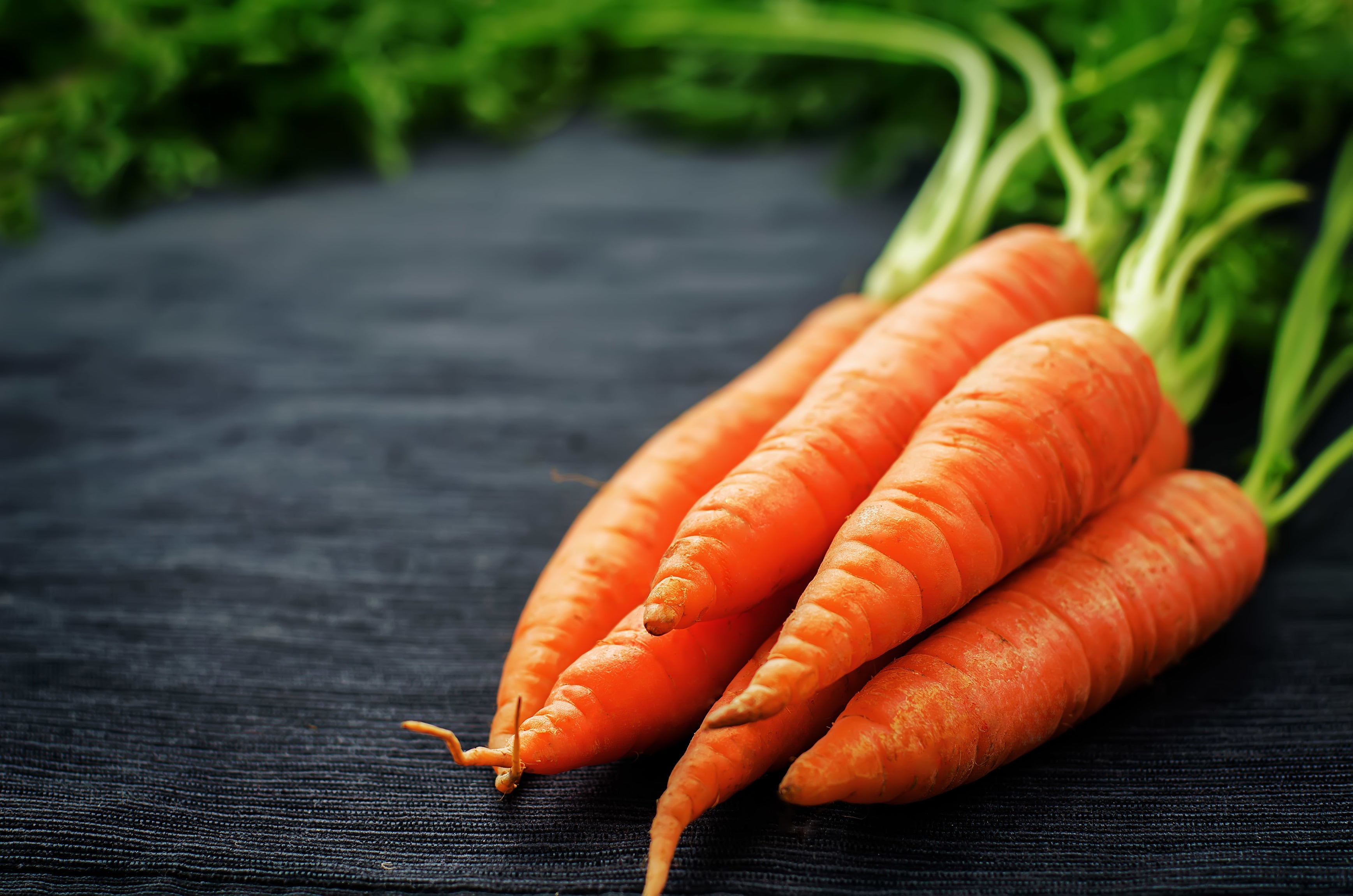 Scarlet Nantes Carrot Seeds - Heirloom - Hometown Seeds