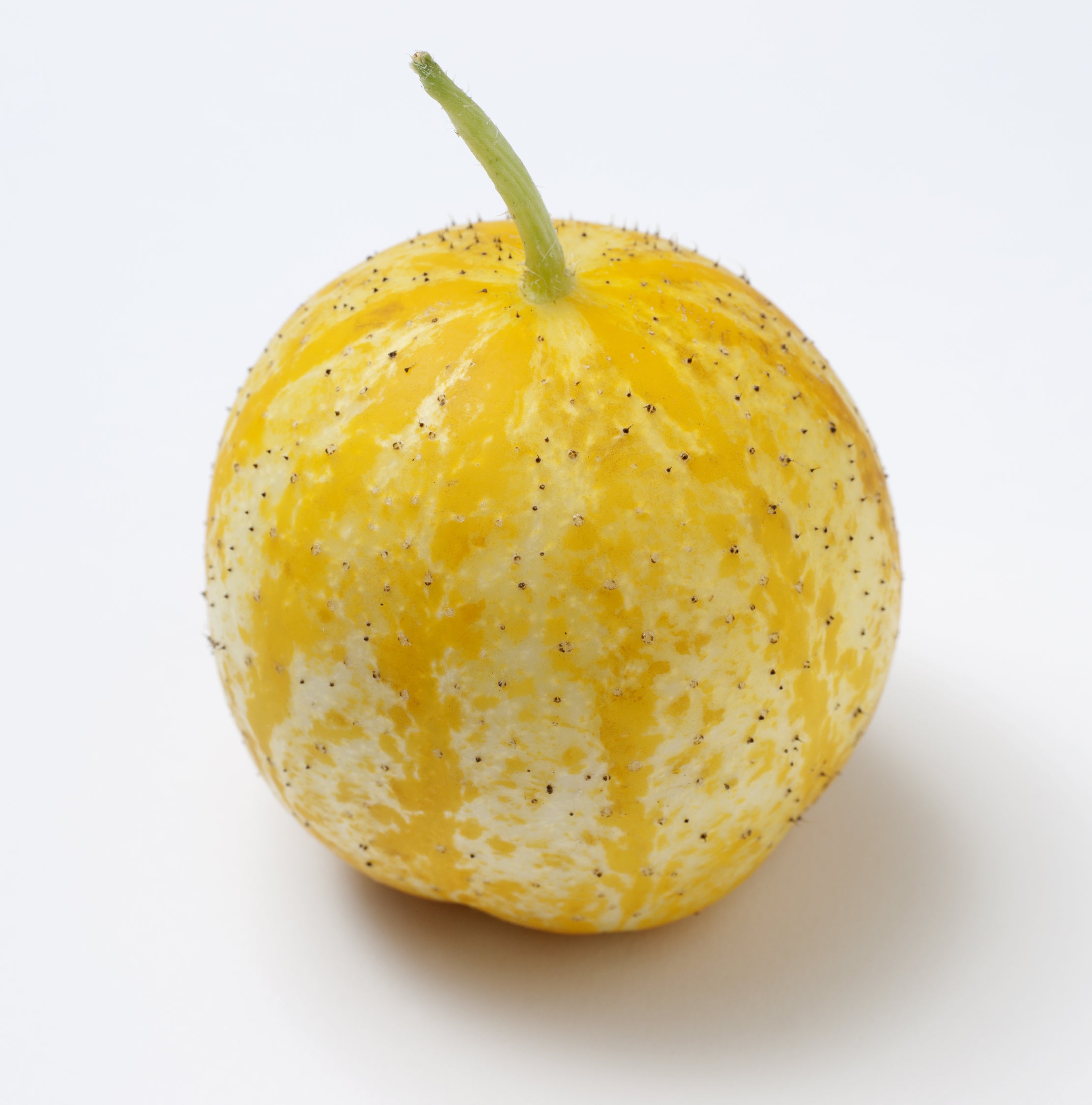 Огурец-лимон хрустальное яблоко. Семена огурец лимон хрустальное яблоко. Желтые круглые огурцы. Лимонный огурец. Огурец лимон купить семена