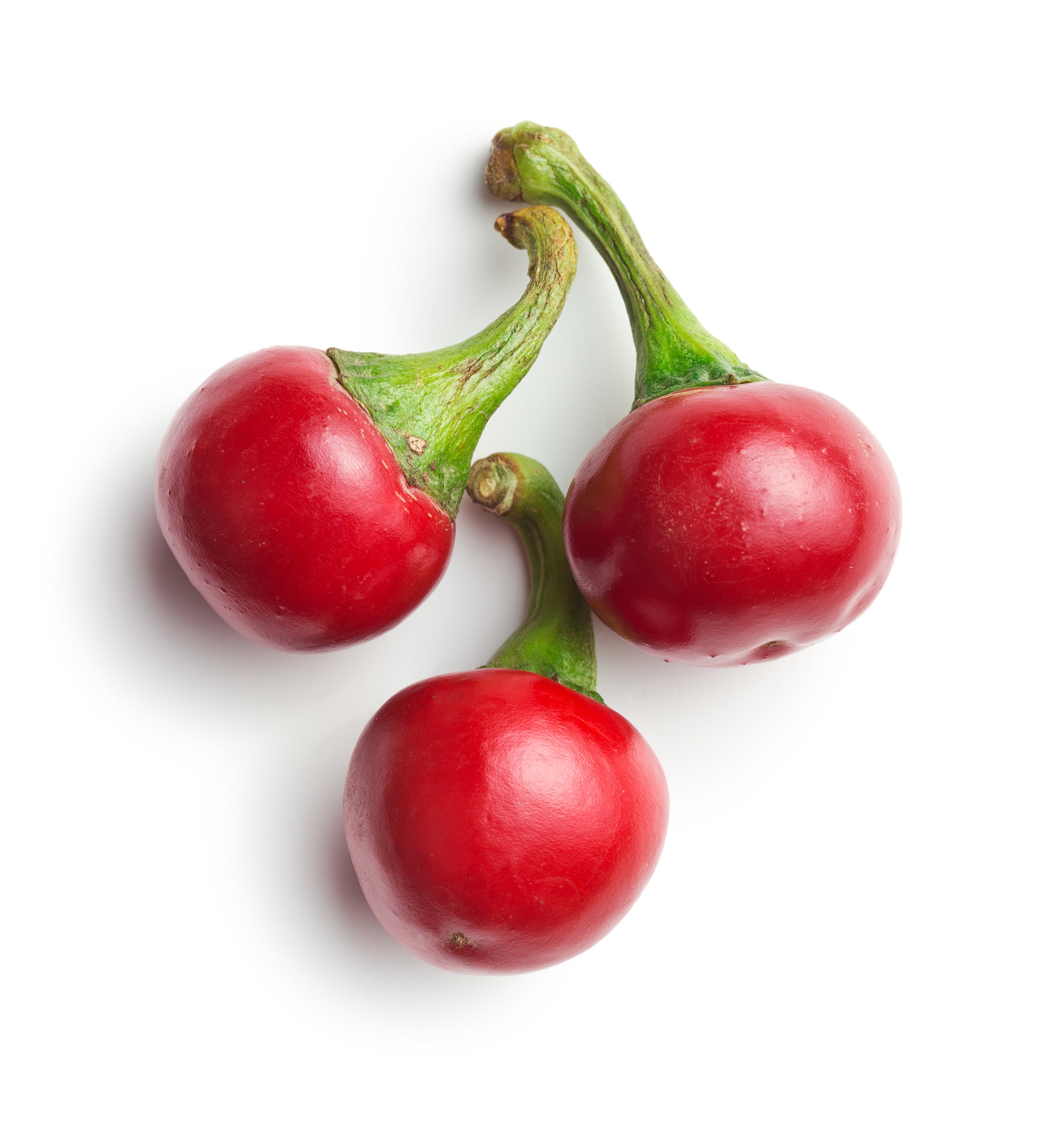 Pepper Hot Large Red Cherry ?v=1536942811