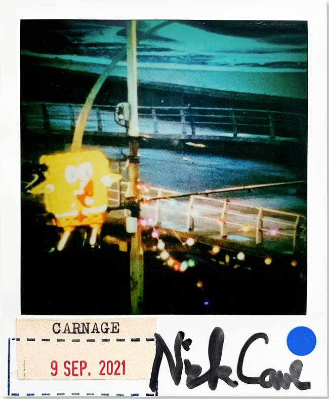 Nick Cave Polaroid