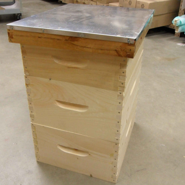 fist bee hive