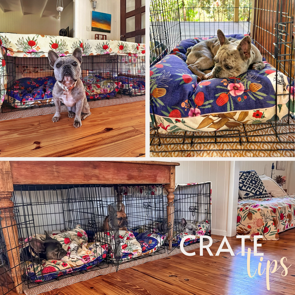 10 reasons why you'll benefit from dog crates and training story