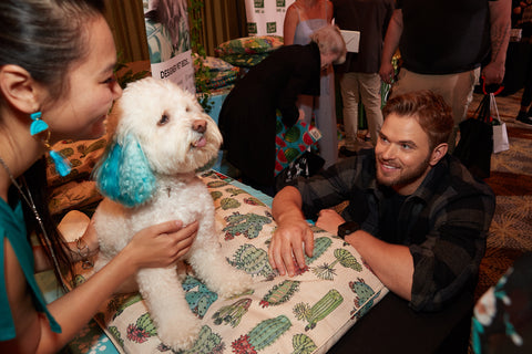 Kellan Lutz Sushi cockapoo @sushisaid Indie Boho dog beds