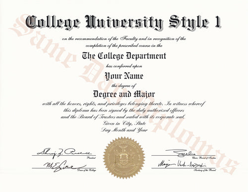 College and University Diploma Degree, USA Stock Design