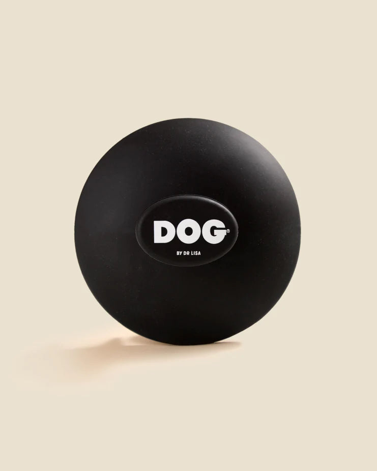 DOG Wash Brush in Black