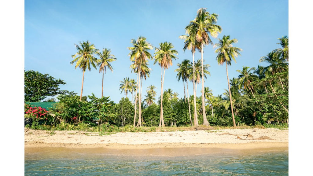 The Best Time to Visit Coron El Nido Palawan Philippines