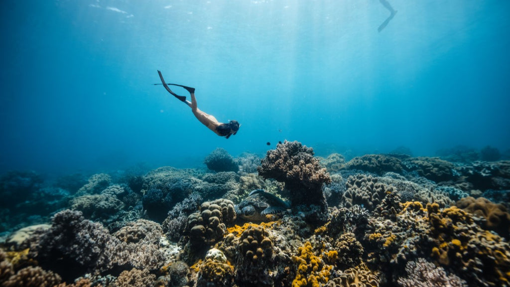 Freediving in Palawan Philippines