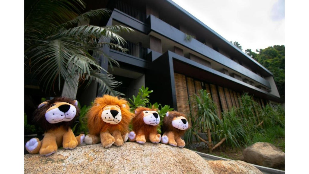 Funny Lion El Nido 팔라완