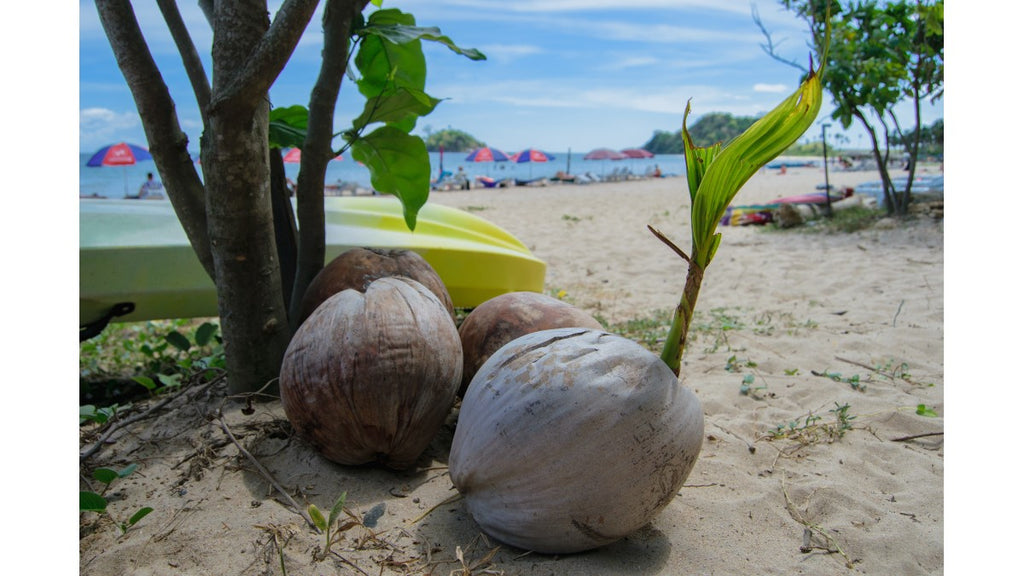 Seven Commando Beach El Nido Palawan