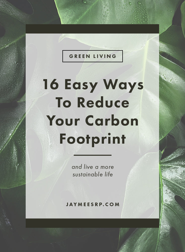 16 Easy Ways to Reduce Your Carbon Footprint