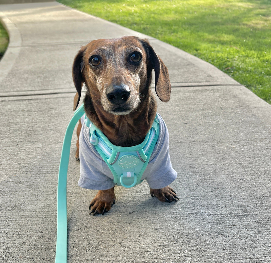 Dusty Pink Hoodie - Love - Dachshund - Buzby Bluebeard Schnauzer Shop