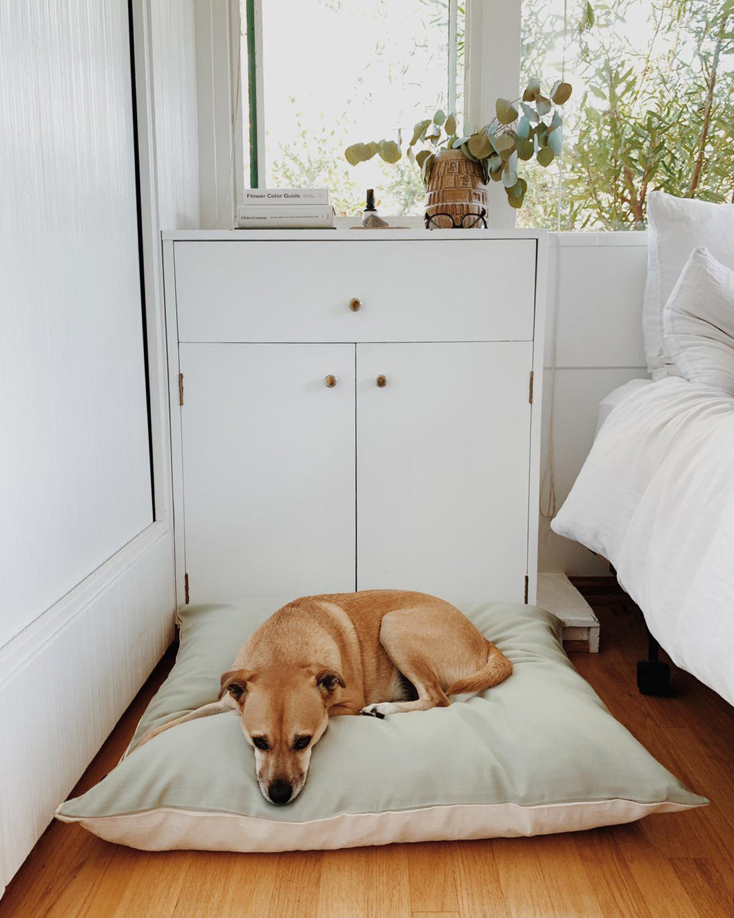 sage green dog bed