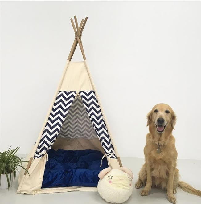 dog teepee