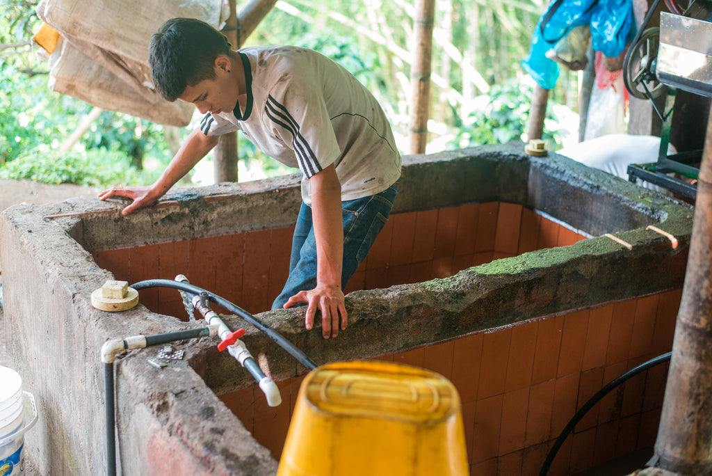 fermentation tank coffee