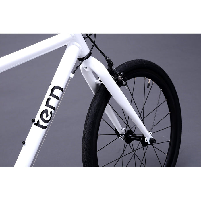 tern mudguards