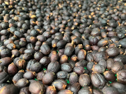 Siam Blades Sirinya Coffee Beans from Thailand 