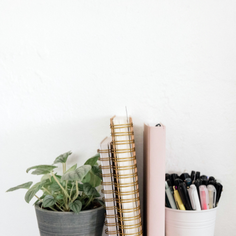 Planners flanked on both sides by vases, one with a plant, the other filled with pens.