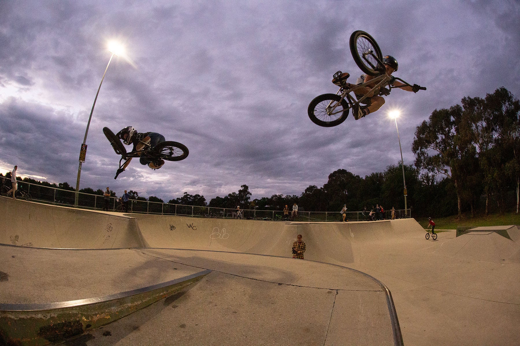 sasha jackson bmx table australia