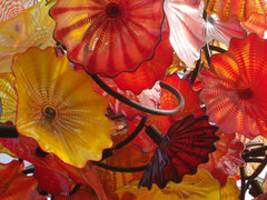 Dale Chihuly at the New York Botanical Garden