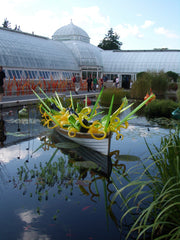 Dale Chihuly at the New York Botanical Garden