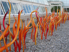 Dale Chihuly at the New York Botanical Garden