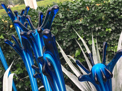 Dale Chihuly at the New York Botanical Garden