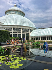 Dale Chihuly at the New York Botanical Garden