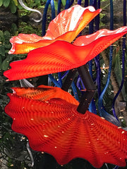 Dale Chihuly at the New York Botanical Garden
