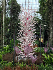 Dale Chihuly at the New York Botanical Garden