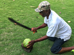 Cutting the coconut