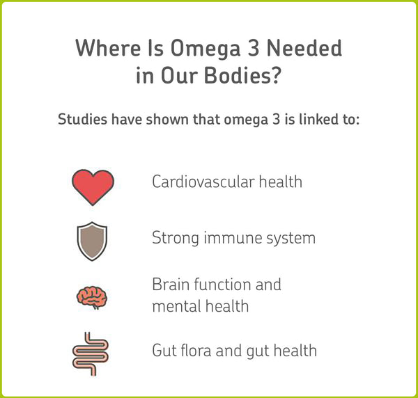Where omega 3 is needed in our bodies
