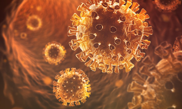 close-up of coronavirus antibodies