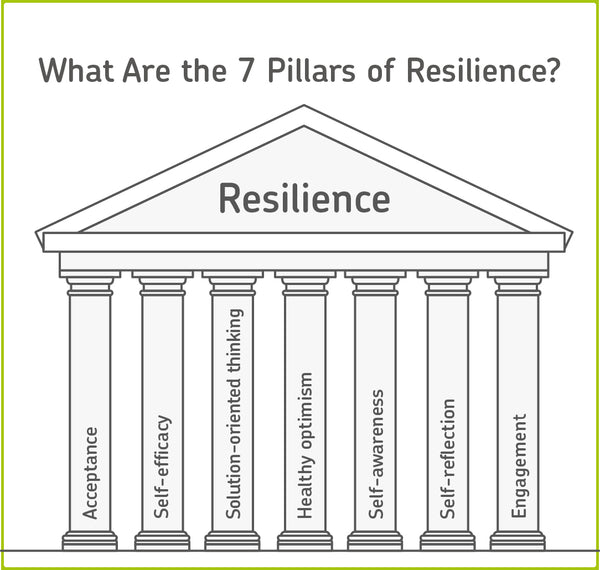 seven pillars of emotional resilience