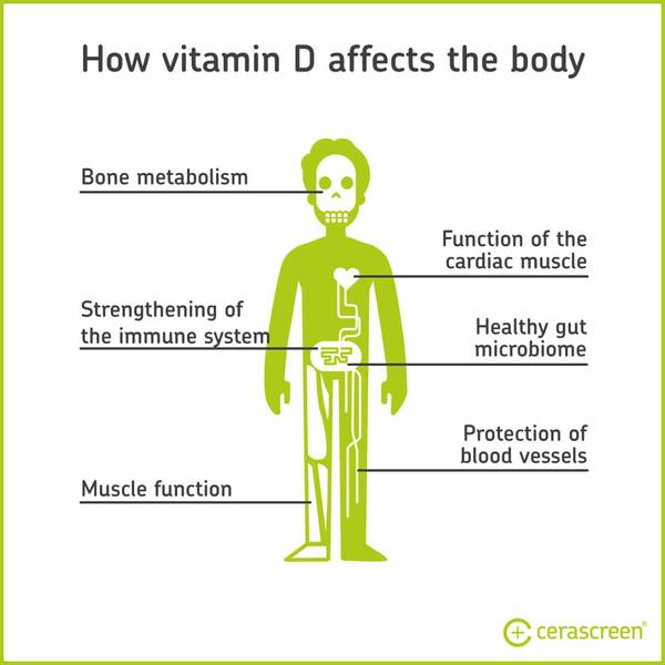 graphic explaining the role of vitamin D in the body