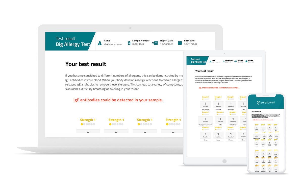 Results Comprehensive Allergy Test