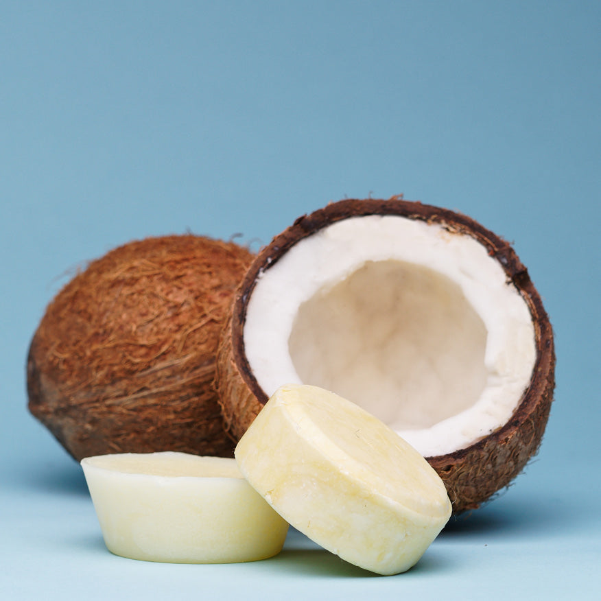 our shampoo and conditioner bar next to a coconut