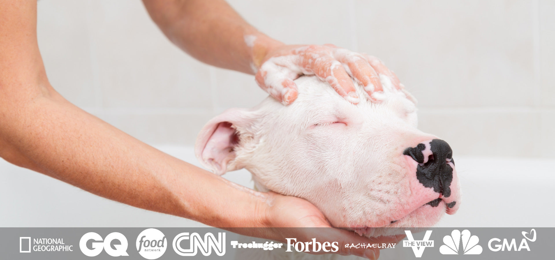 a dog bathing