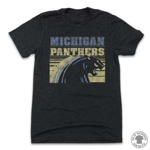 Metro Detroit's Forgotten Champions, The Michigan Panthers ...