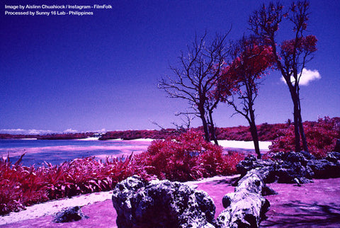 infrared color film