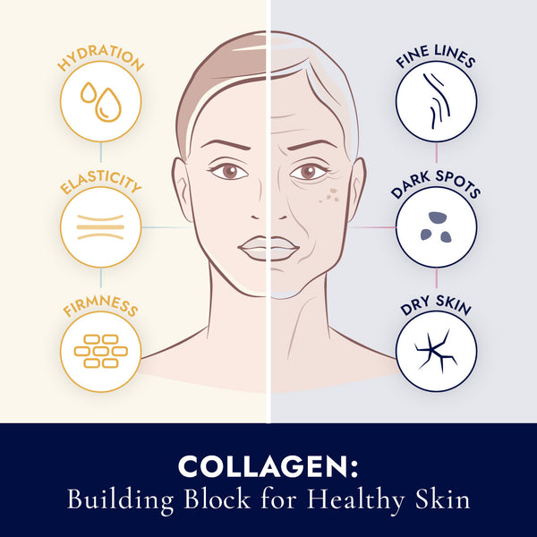 Effects of collagen and collagen loss on skin health and appearance 