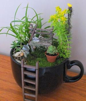 fairy tea cup garden