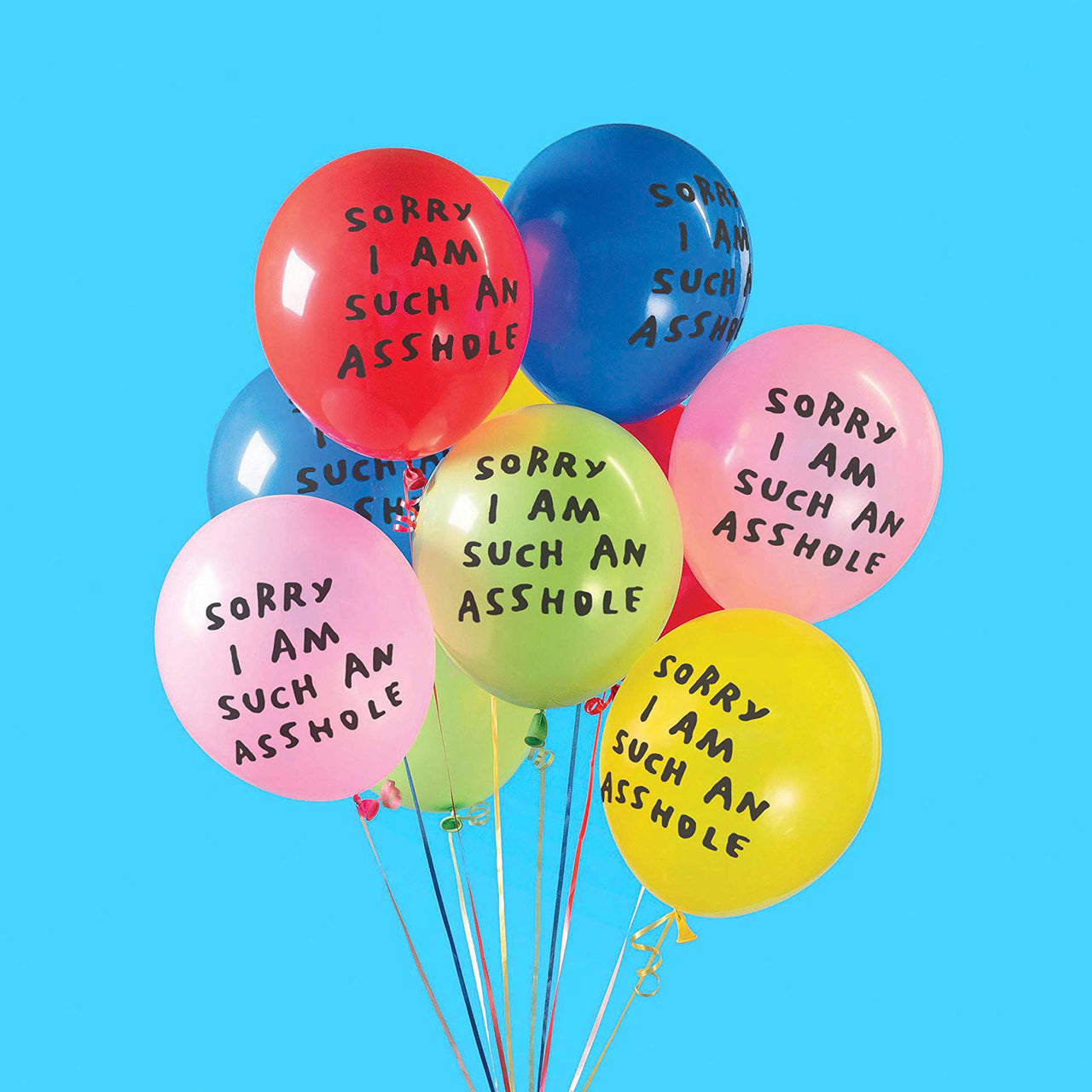 Sorry I Am Such An Asshole Balloons