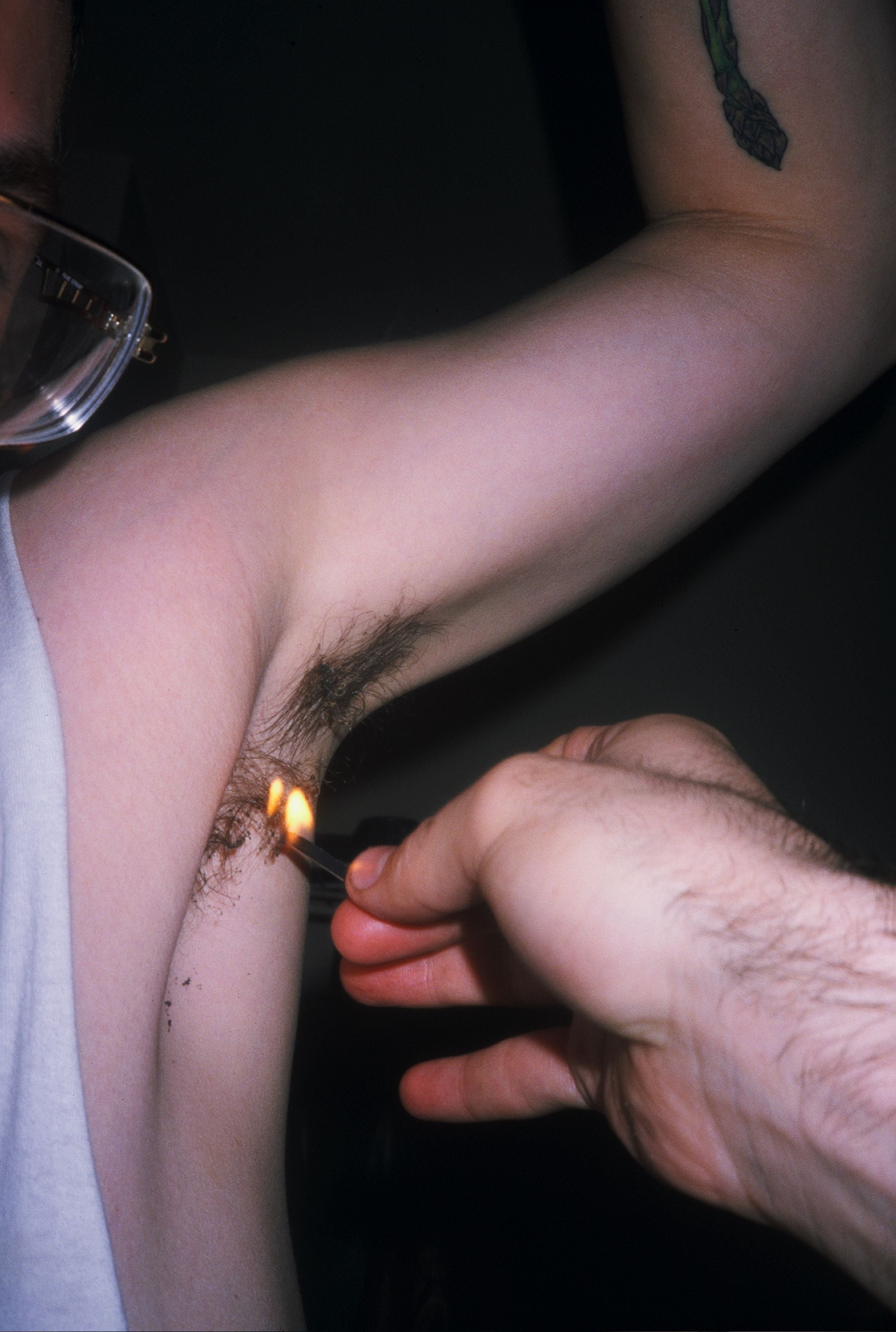 Bruce LaBruce, Cure for Crabs, 2004