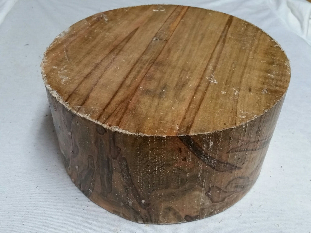 spalted ambrosia maple