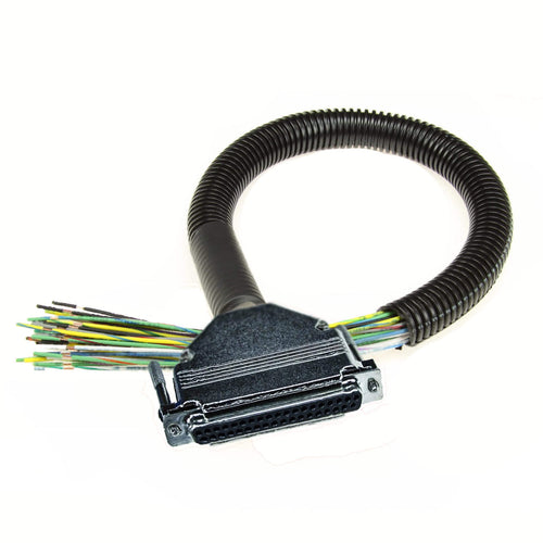 8' MegaSquirt Wiring Harness (MS1/MS2/MS3 Ready)