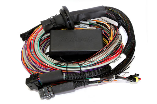 8′ MegaSquirt Wiring Harness (MS1/MS2/MS3 Ready) – RCautoworks