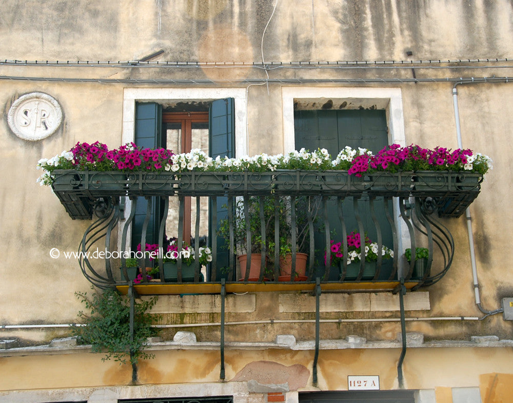 Italy Venice Two Windows With Flowers 16x20 Print Deborah O Neill European American Photos Paintings Photo Paintings